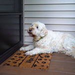 Ninamar Door Mat Wipe Your Paws Natural Coir - 29.5 x 17.5 inch - Foot Matters