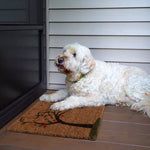 Ninamar Door Mat Hello Autumn - Natural Coconut Fiber (Coir) - 29.5 x 17.5 inch